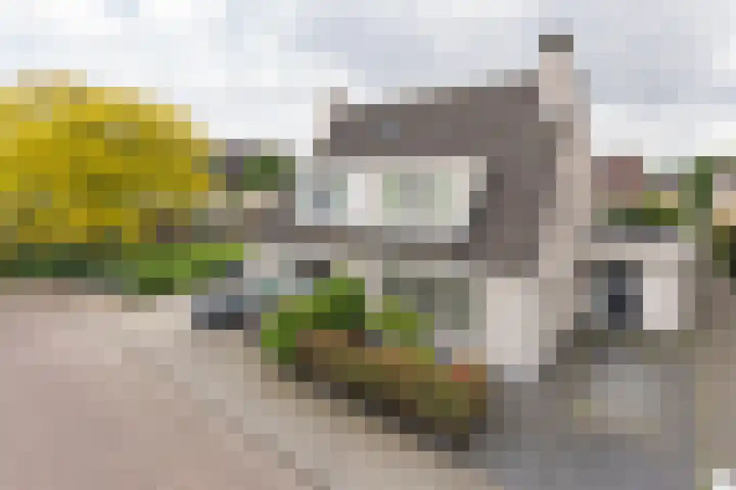 Lijsterbesstraat 24 Goes foto 3