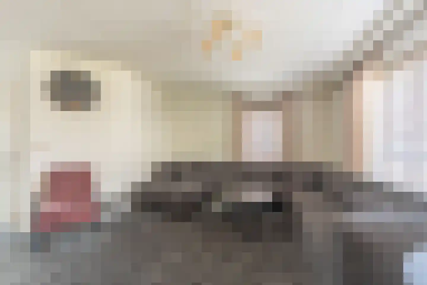 Lijsterbesstraat 24 Goes thumbnail 31