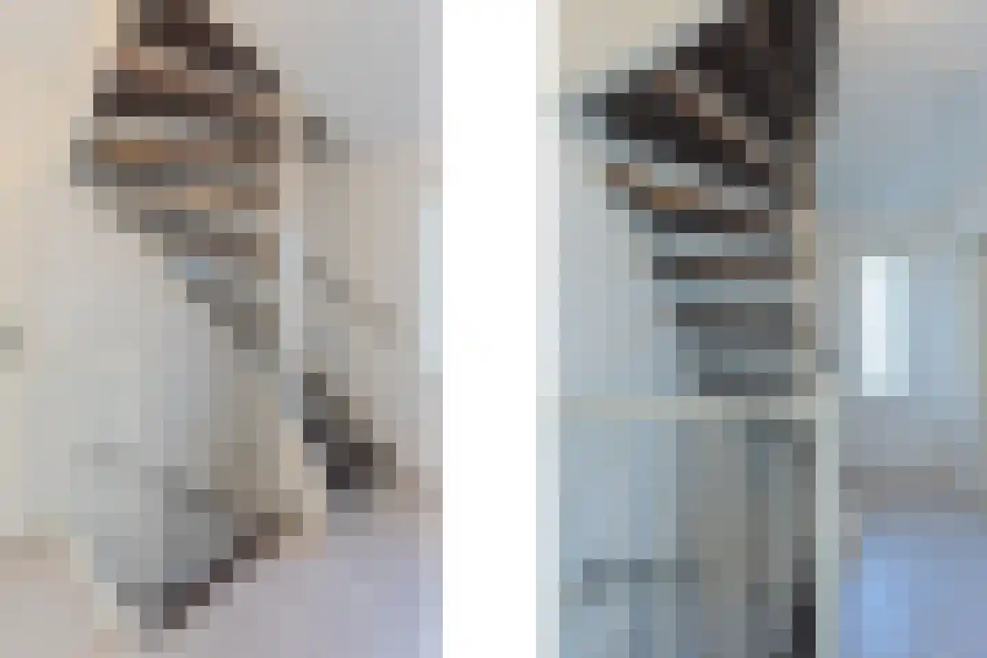 Lijsterbesstraat 24 Goes thumbnail 33