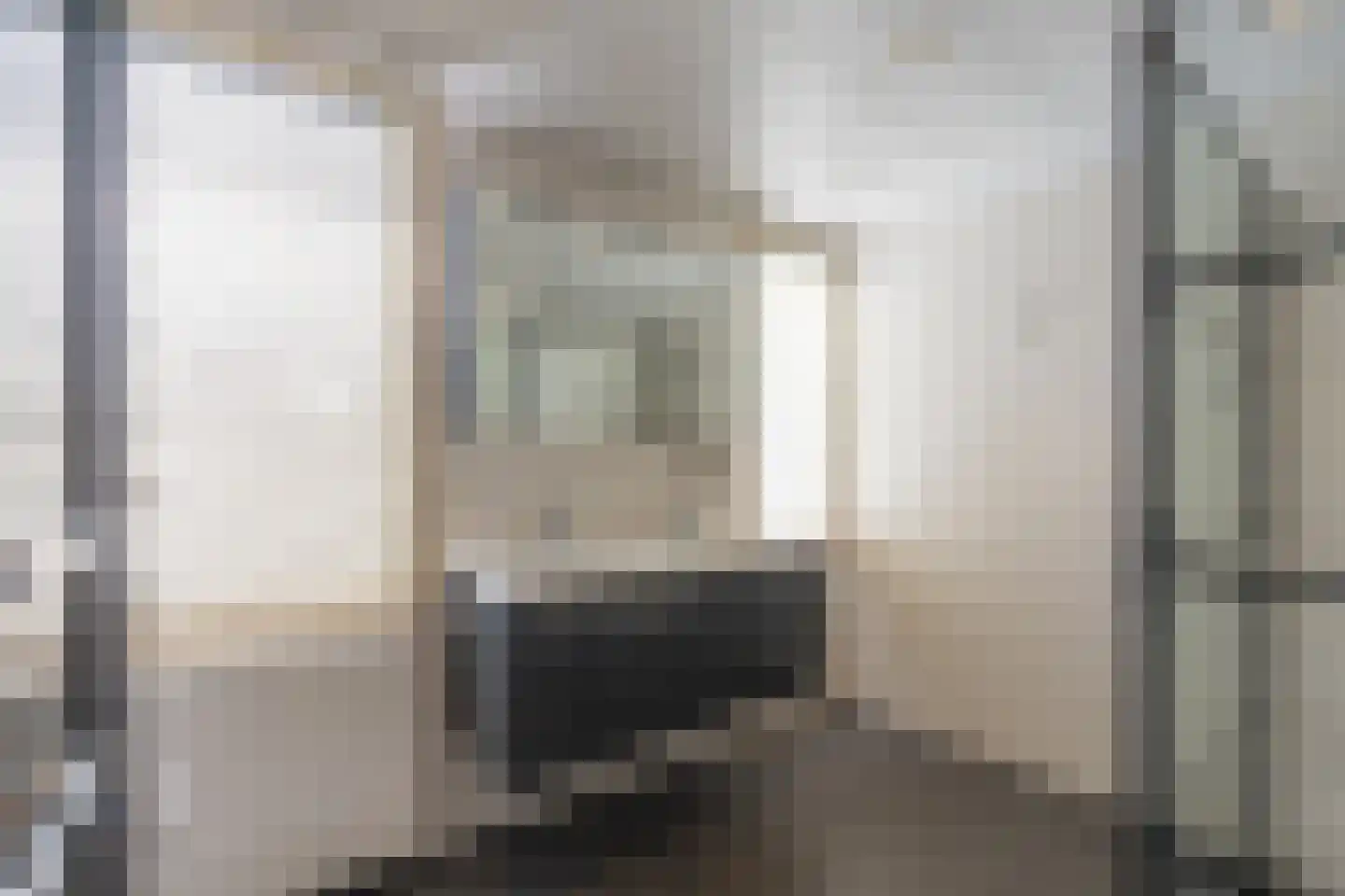 Lijsterbesstraat 24 Goes thumbnail 38