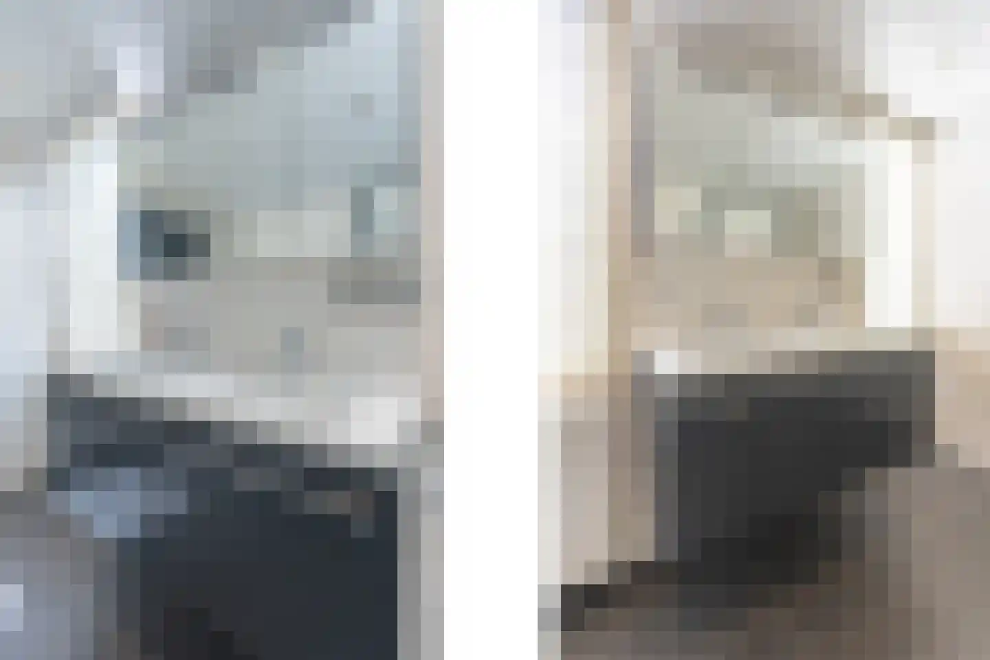 Lijsterbesstraat 24 Goes thumbnail 43