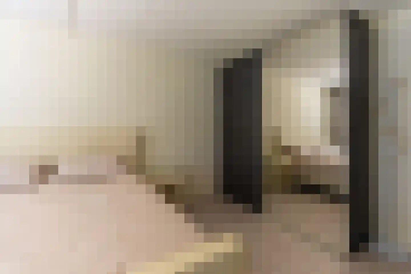 Lijsterbesstraat 24 Goes thumbnail 46