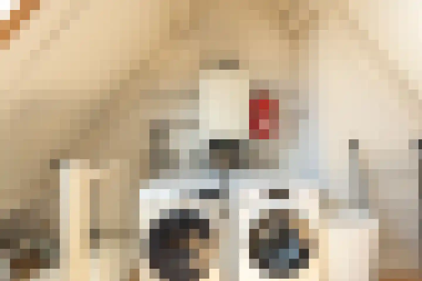 Lijsterbesstraat 24 Goes thumbnail 52