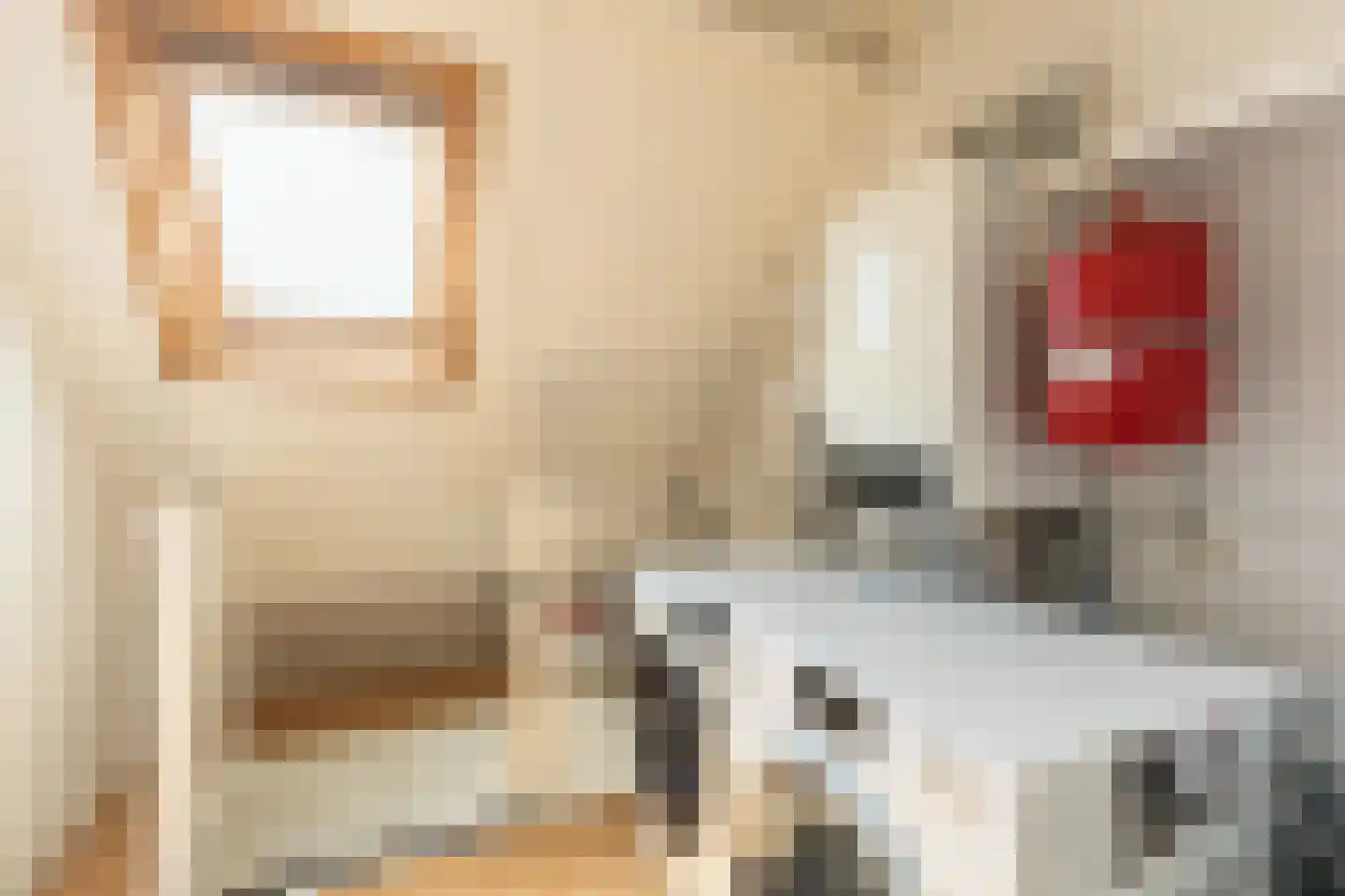 Lijsterbesstraat 24 Goes thumbnail 53