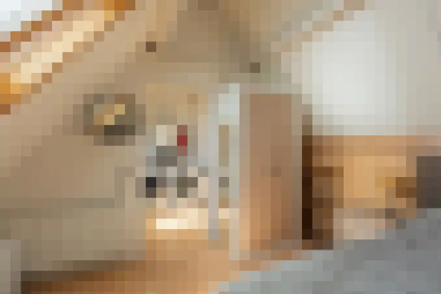 Lijsterbesstraat 24 Goes thumbnail 55