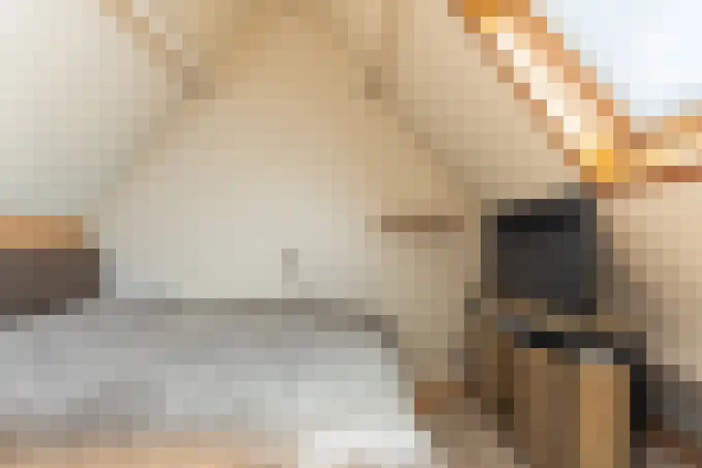 Lijsterbesstraat 24 Goes thumbnail 57