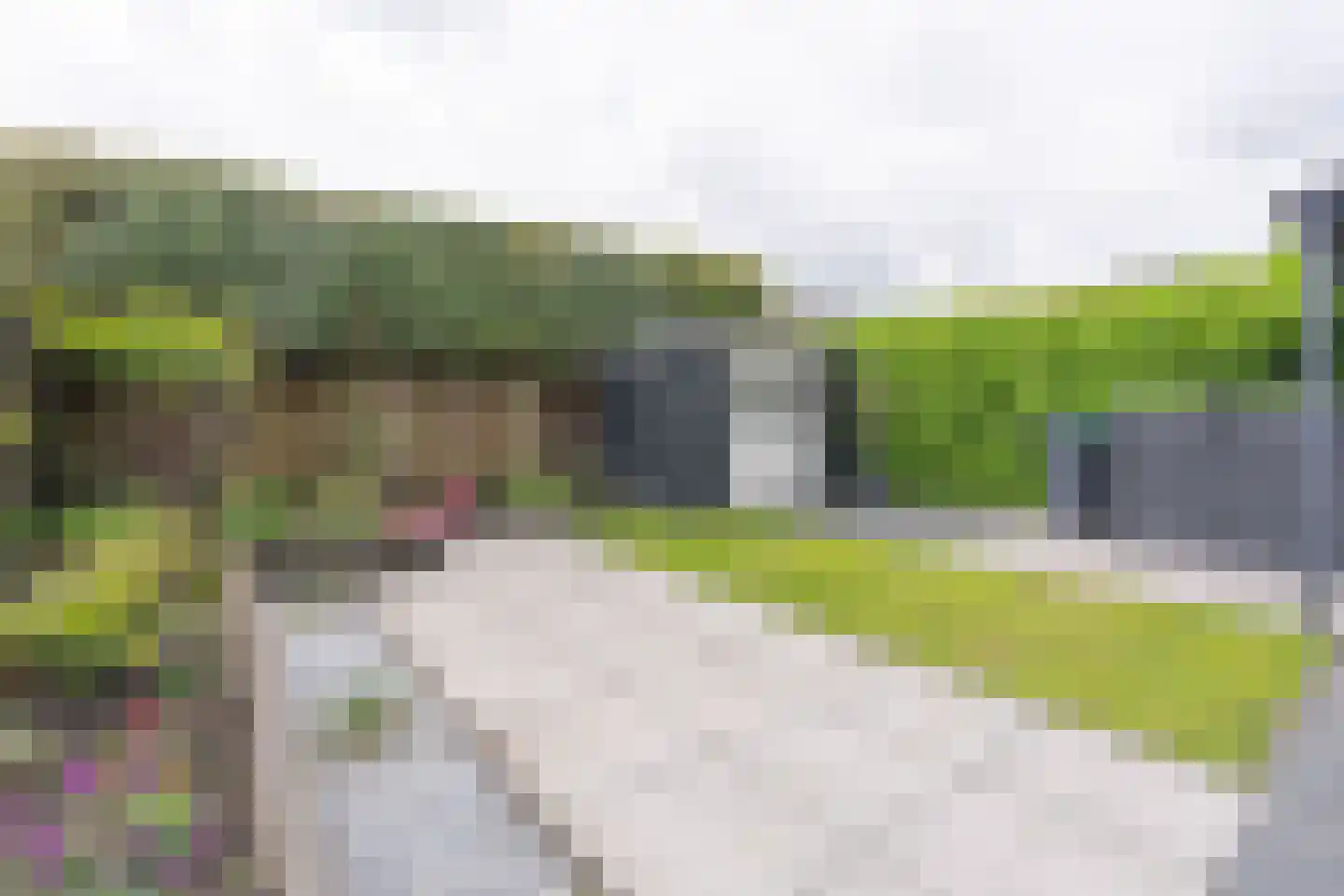Lijsterbesstraat 24 Goes thumbnail 64