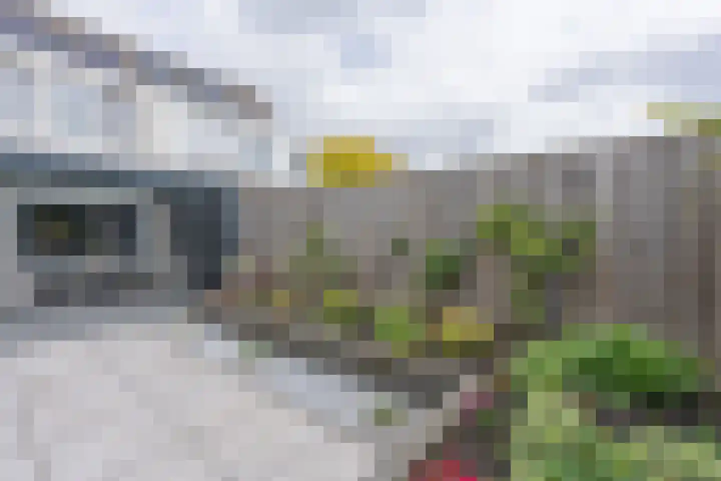 Lijsterbesstraat 24 Goes thumbnail 67