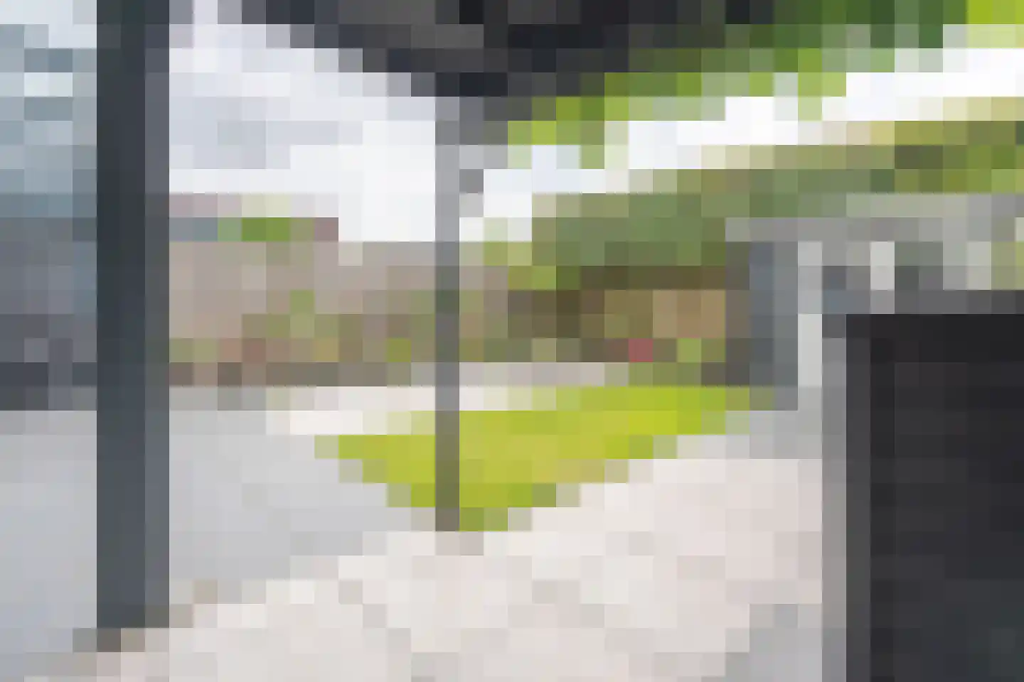 Lijsterbesstraat 24 Goes thumbnail 69