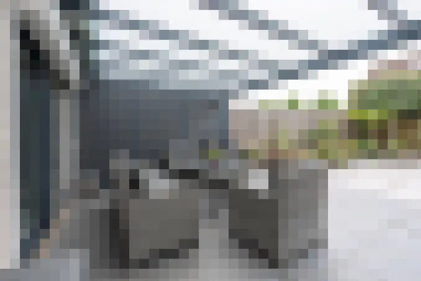 Lijsterbesstraat 24 Goes thumbnail 70