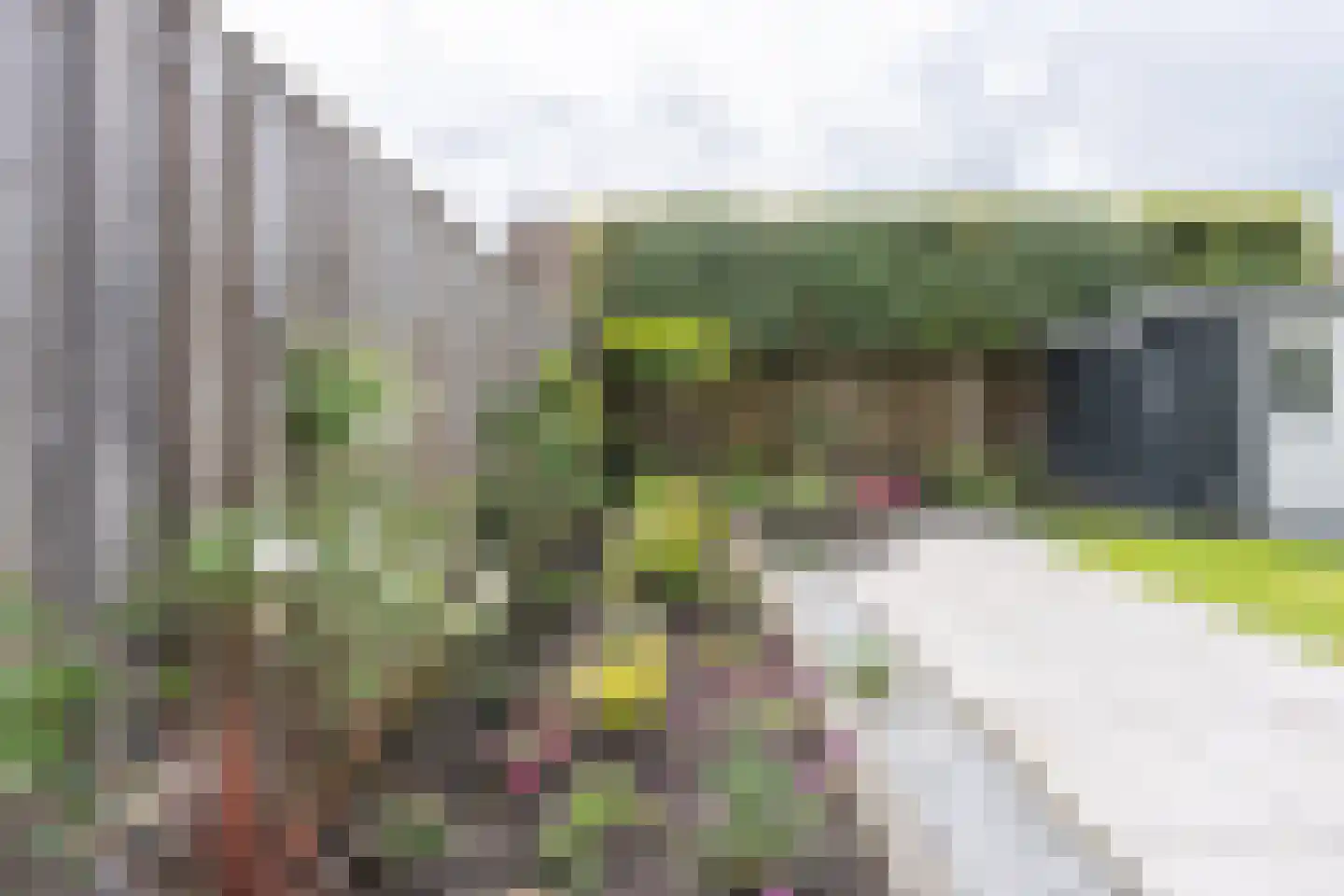 Lijsterbesstraat 24 Goes thumbnail 72