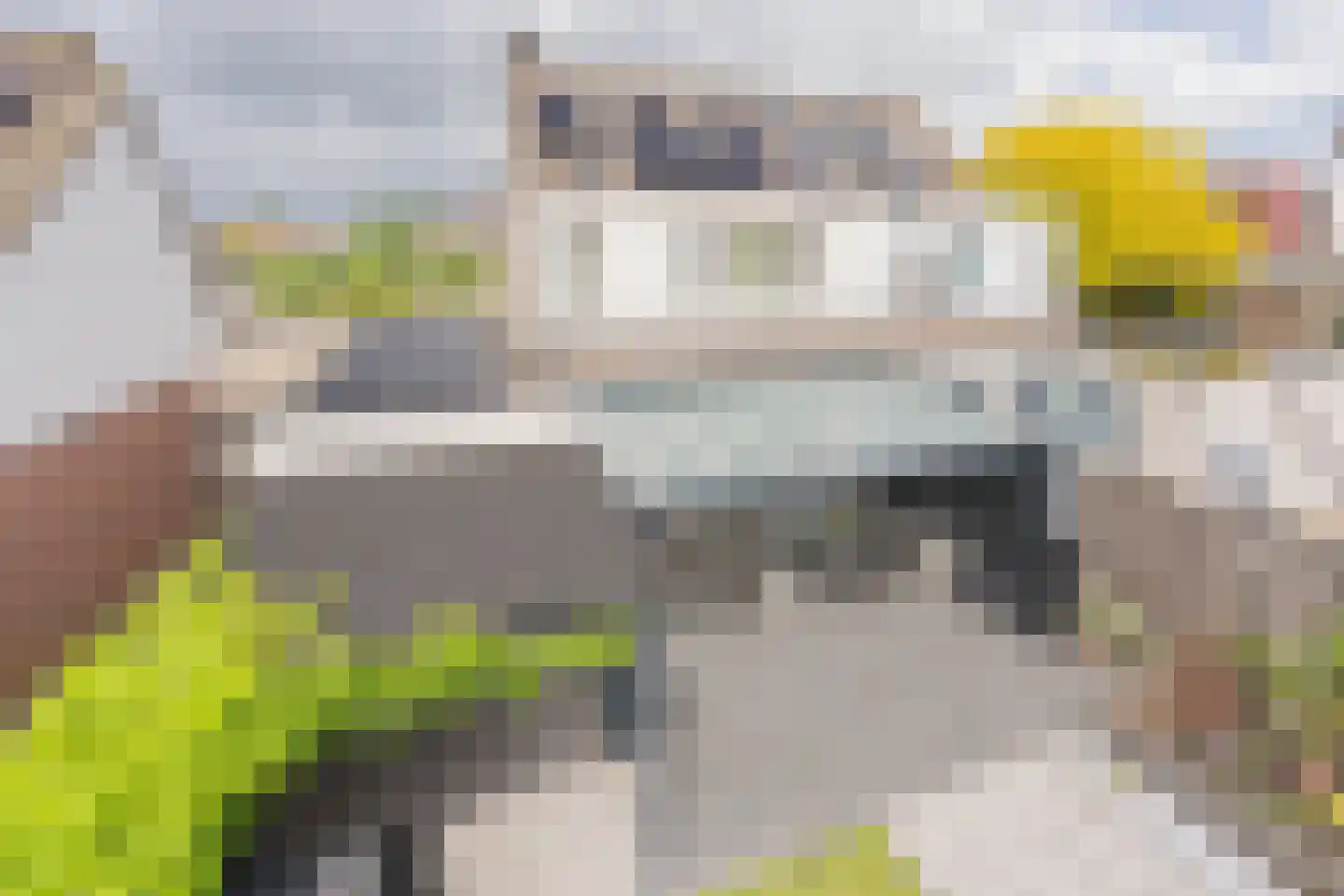 Lijsterbesstraat 24 Goes thumbnail 74