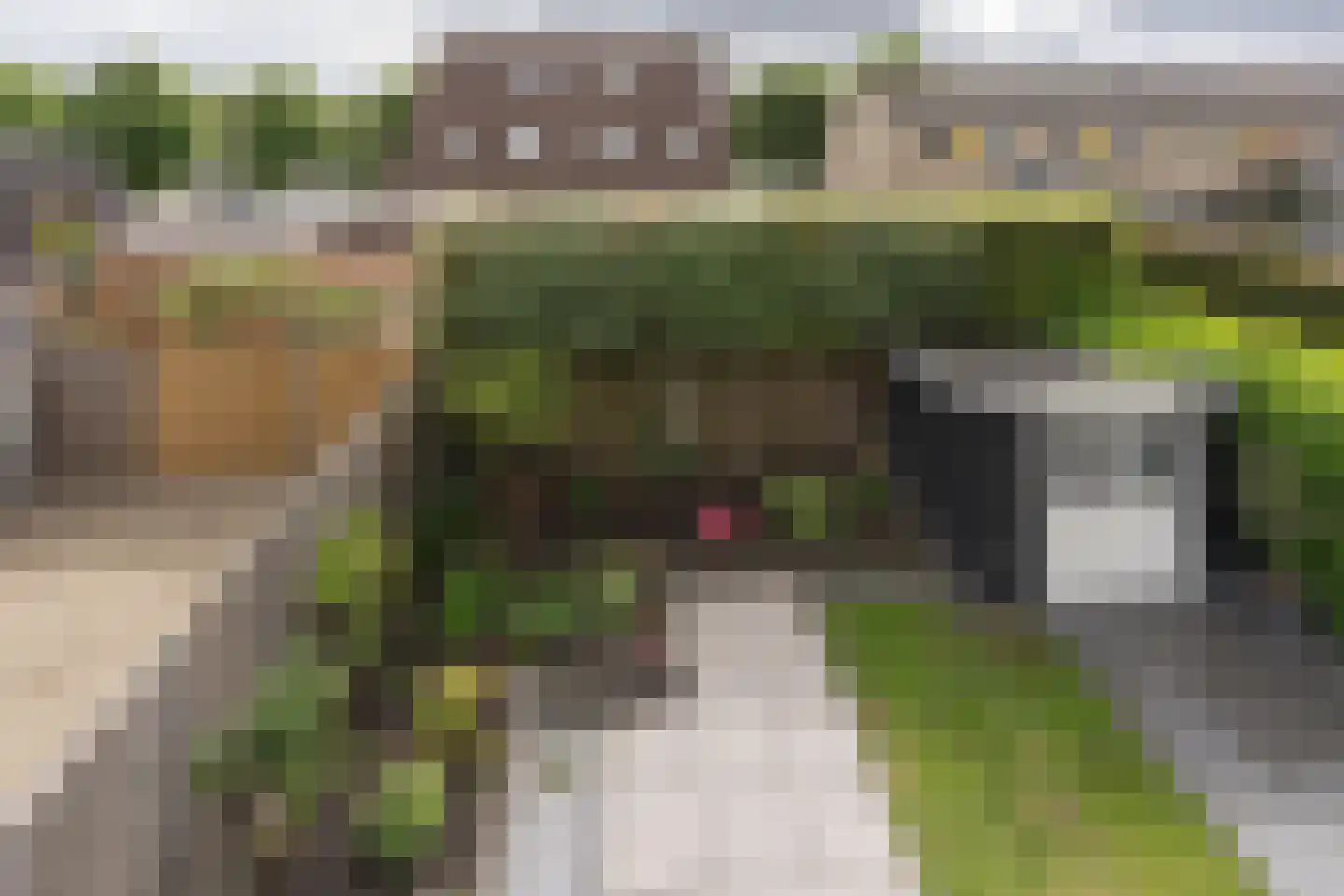 Lijsterbesstraat 24 Goes thumbnail 78
