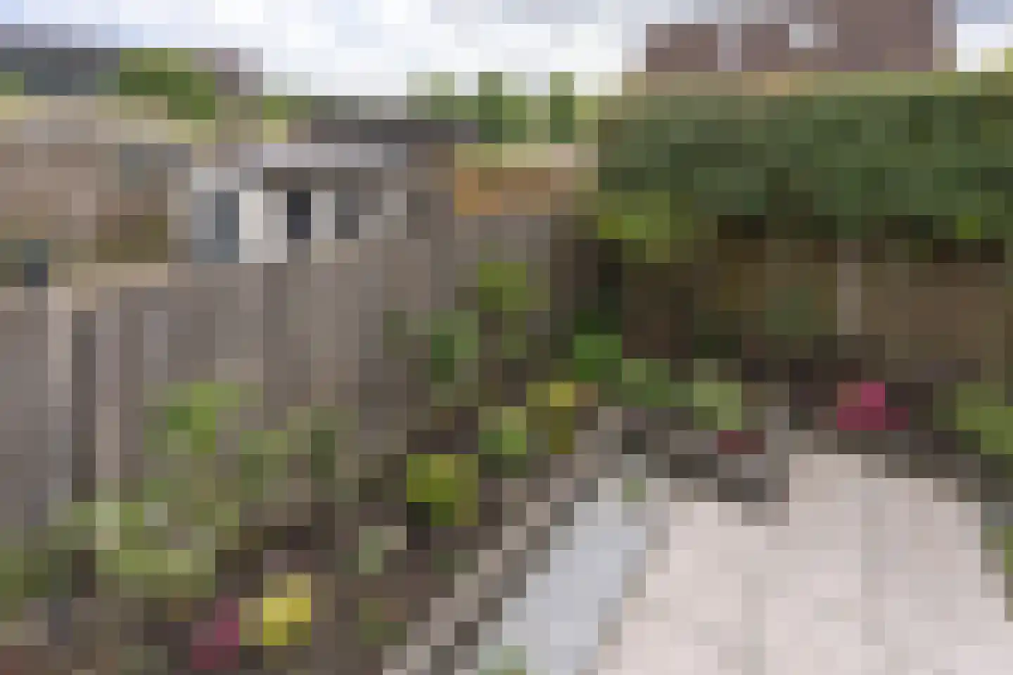 Lijsterbesstraat 24 Goes thumbnail 80