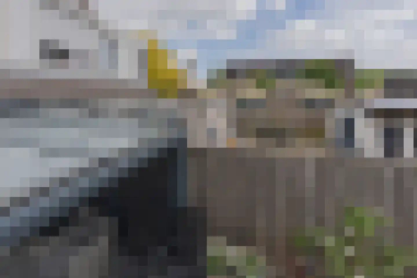Lijsterbesstraat 24 Goes thumbnail 82