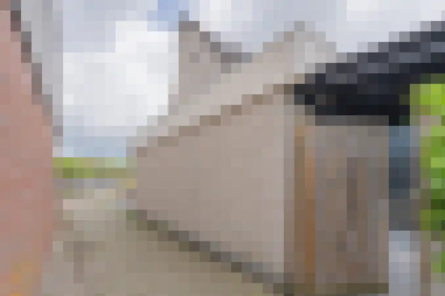 Lijsterbesstraat 24 Goes thumbnail 9