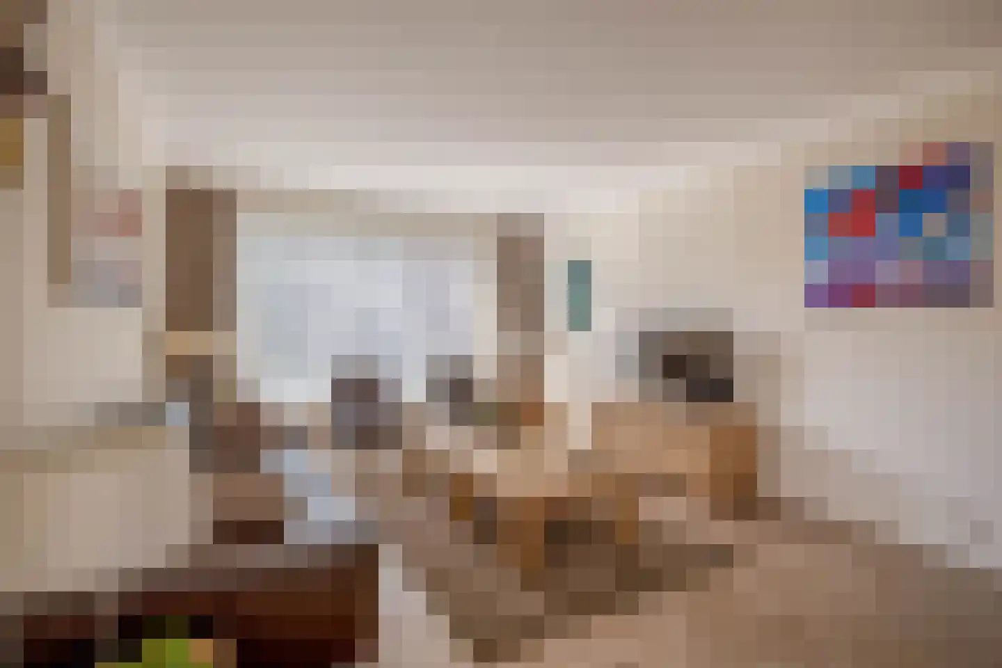 Lijsterbesstraat 24 Nuenen thumbnail 11