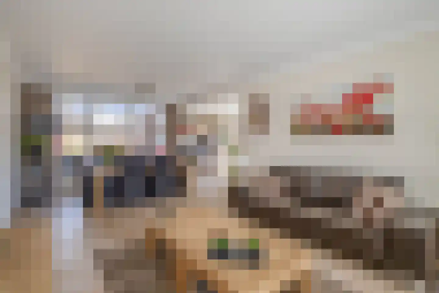 Lijsterbesstraat 24 Nuenen thumbnail 13