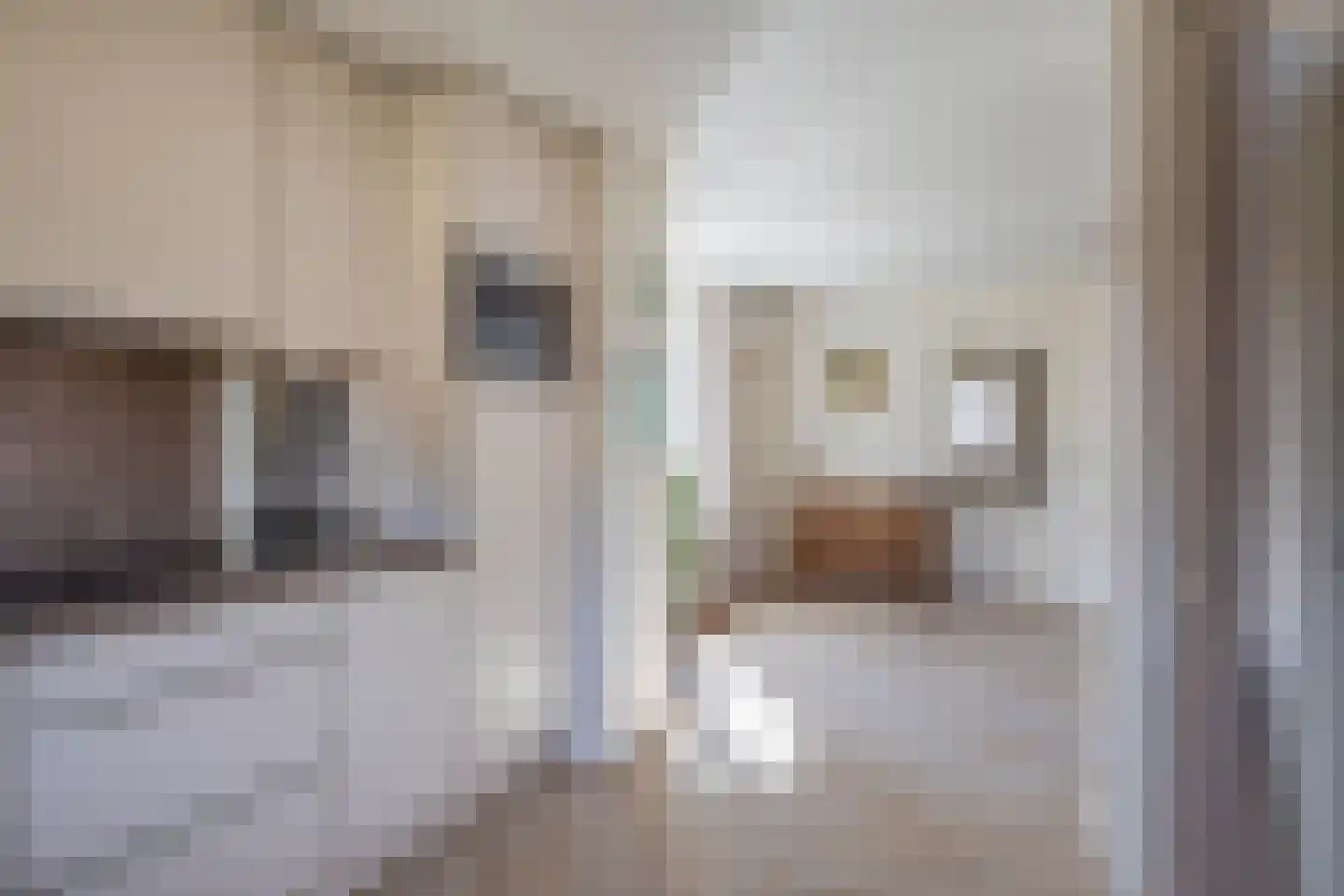 Lijsterbesstraat 24 Nuenen thumbnail 19