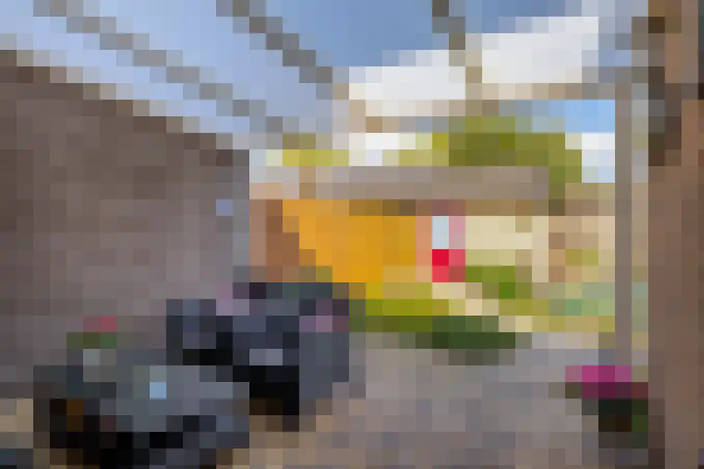 Lijsterbesstraat 24 Nuenen thumbnail 37