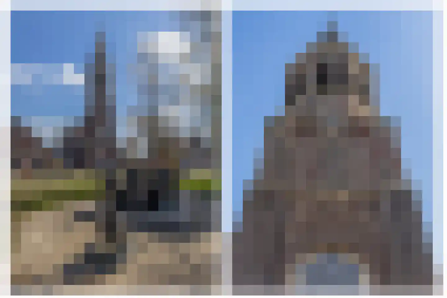 Lijsterbesstraat 24 Nuenen thumbnail 49