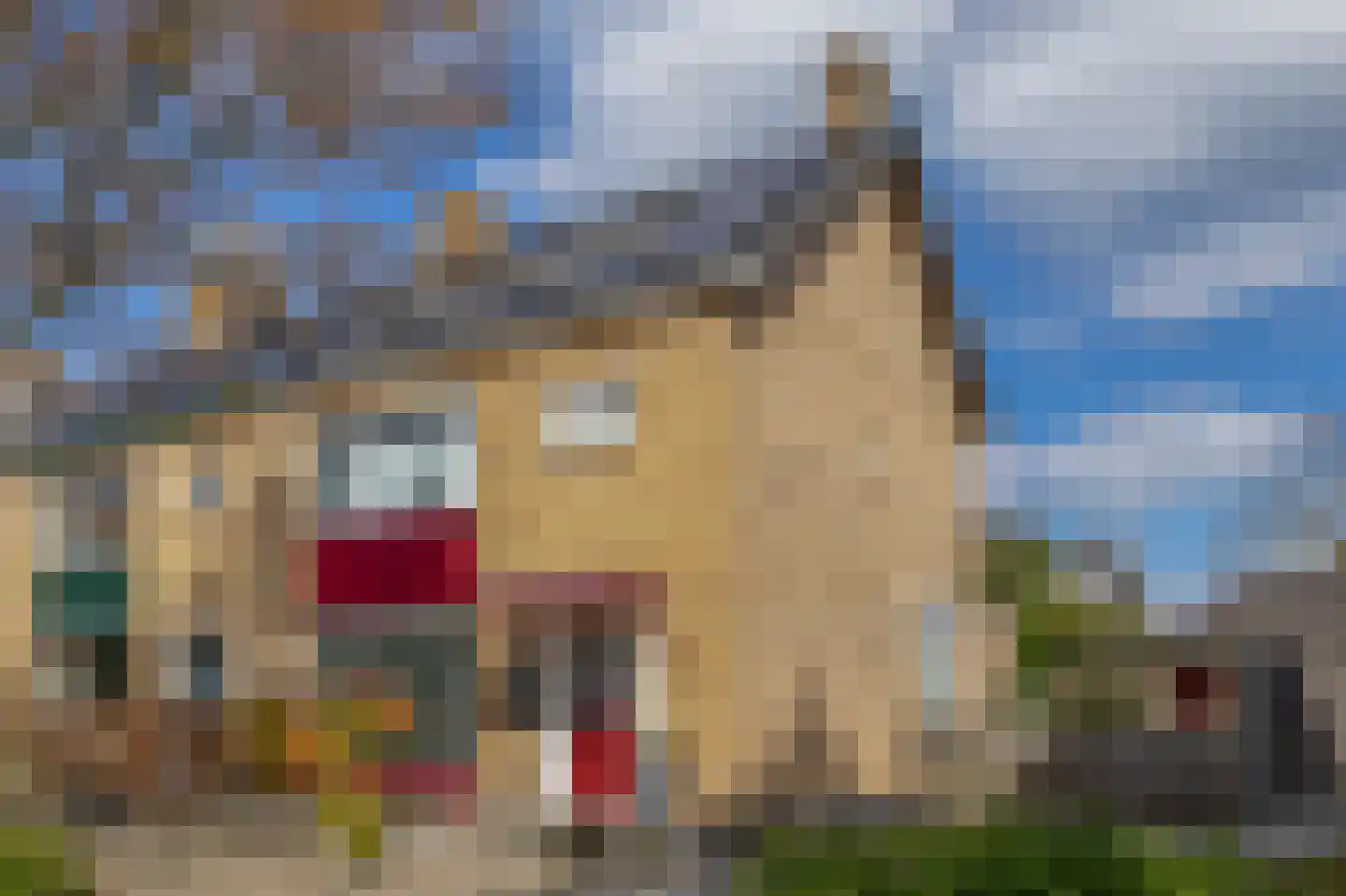Lijsterbesstraat 24 Nuenen thumbnail 5