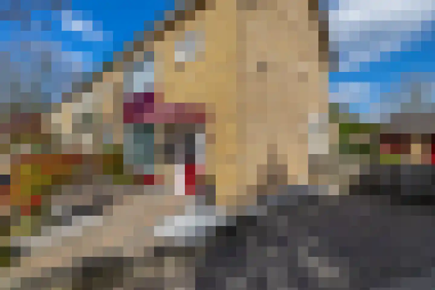Lijsterbesstraat 24 Nuenen thumbnail 6
