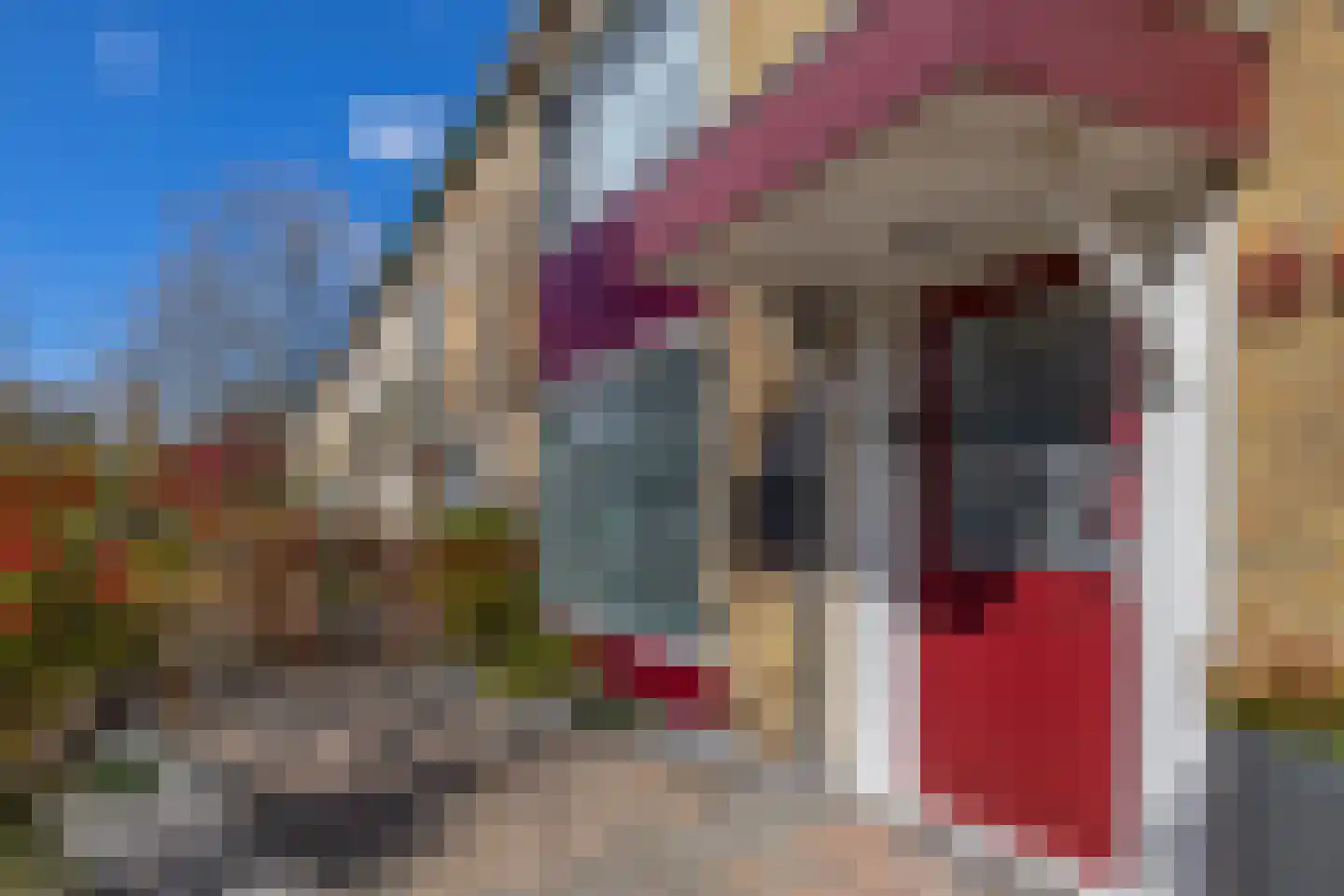 Lijsterbesstraat 24 Nuenen thumbnail 7