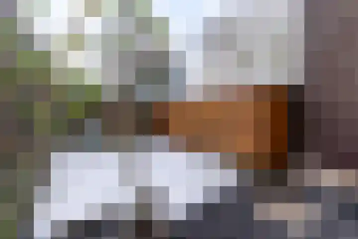 Lijsterbesstraat 246 Nieuwegein thumbnail 14