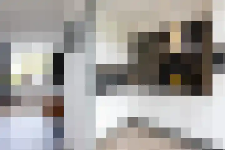 Lijsterbesstraat 25 Borculo thumbnail 10