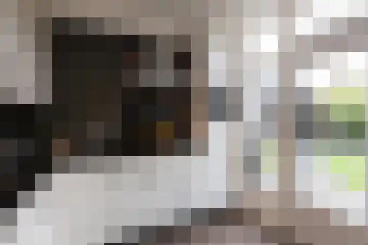 Lijsterbesstraat 25 Borculo thumbnail 11