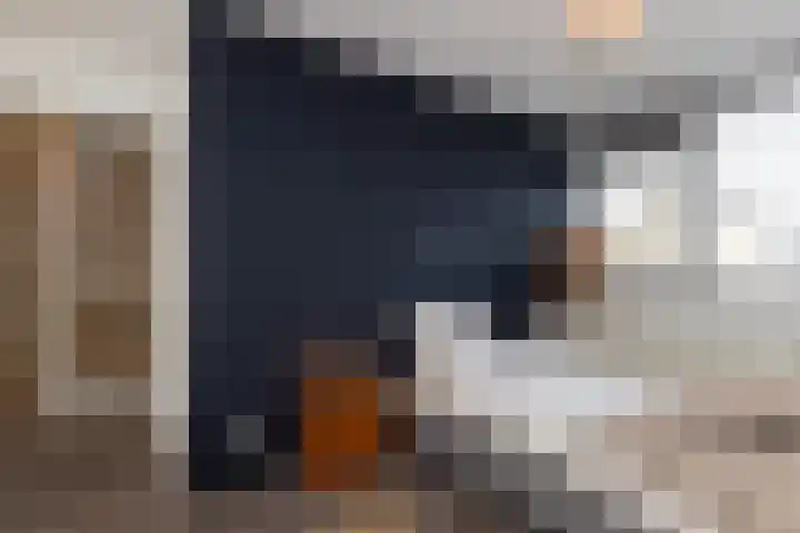 Lijsterbesstraat 25 Borculo thumbnail 16