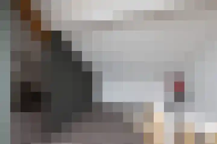 Lijsterbesstraat 25 Borculo thumbnail 22
