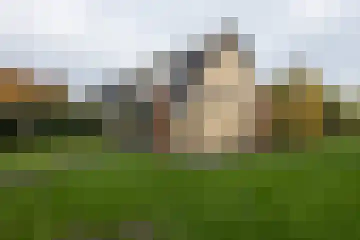 Lijsterbesstraat 25 Borculo thumbnail 29
