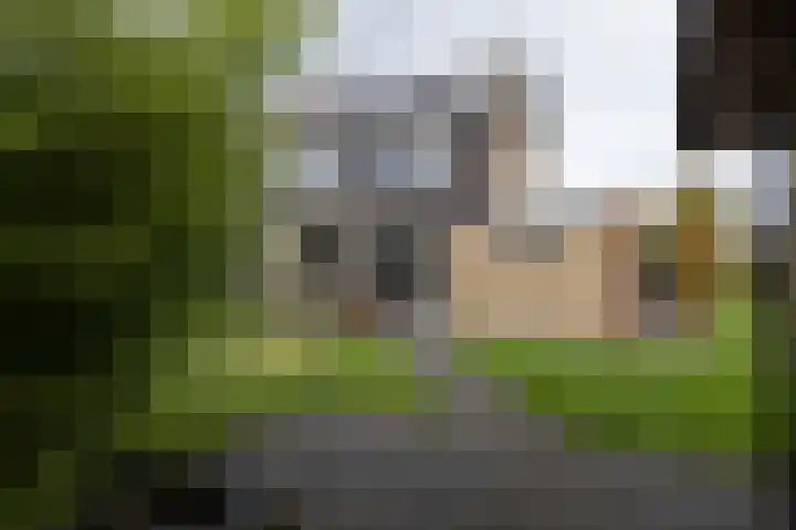 Lijsterbesstraat 25 Borculo thumbnail 30