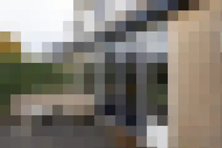 Lijsterbesstraat 25 Borculo thumbnail 31