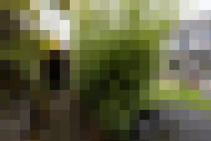 Lijsterbesstraat 25 Borculo thumbnail 33