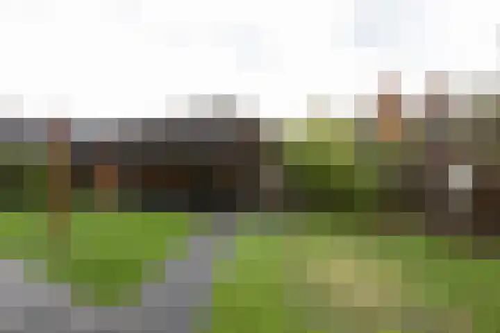 Lijsterbesstraat 25 Borculo thumbnail 34