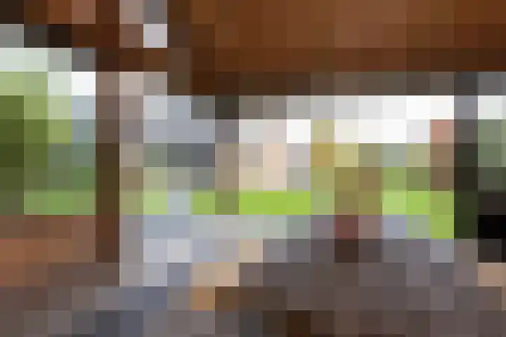 Lijsterbesstraat 25 Borculo thumbnail 36