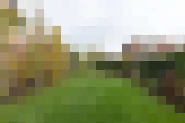 Lijsterbesstraat 25 Borculo thumbnail 38
