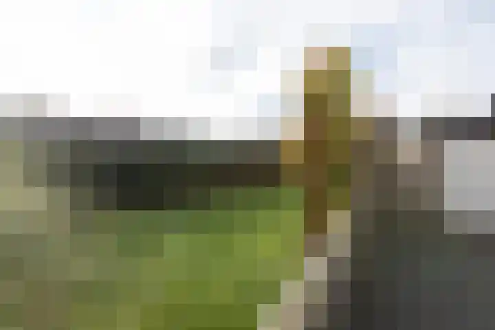 Lijsterbesstraat 25 Borculo thumbnail 39