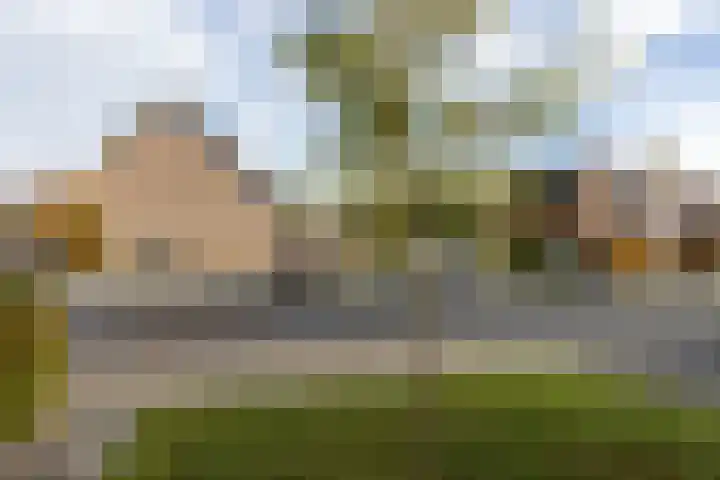 Lijsterbesstraat 25 Borculo thumbnail 42