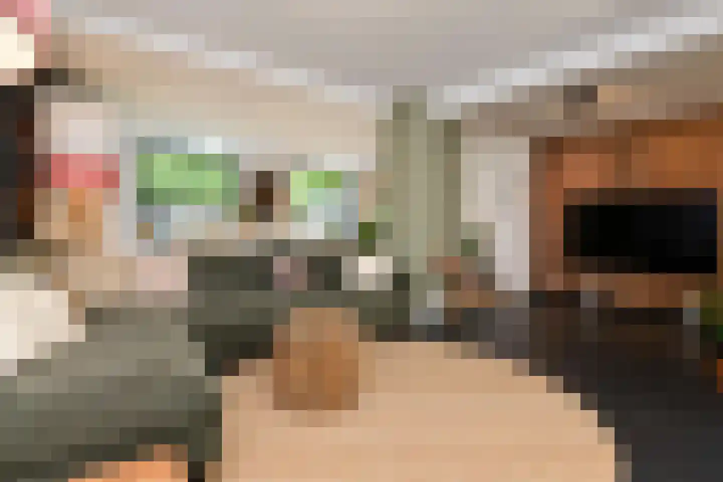 Lijsterbesstraat 27 Heteren thumbnail 11