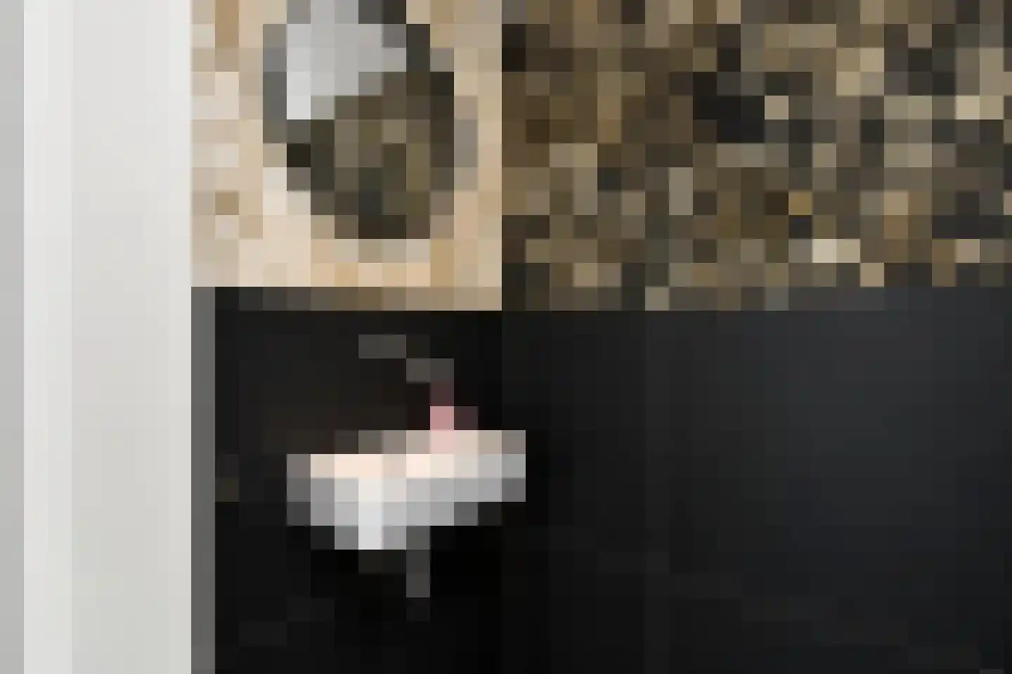 Lijsterbesstraat 27 Heteren thumbnail 22