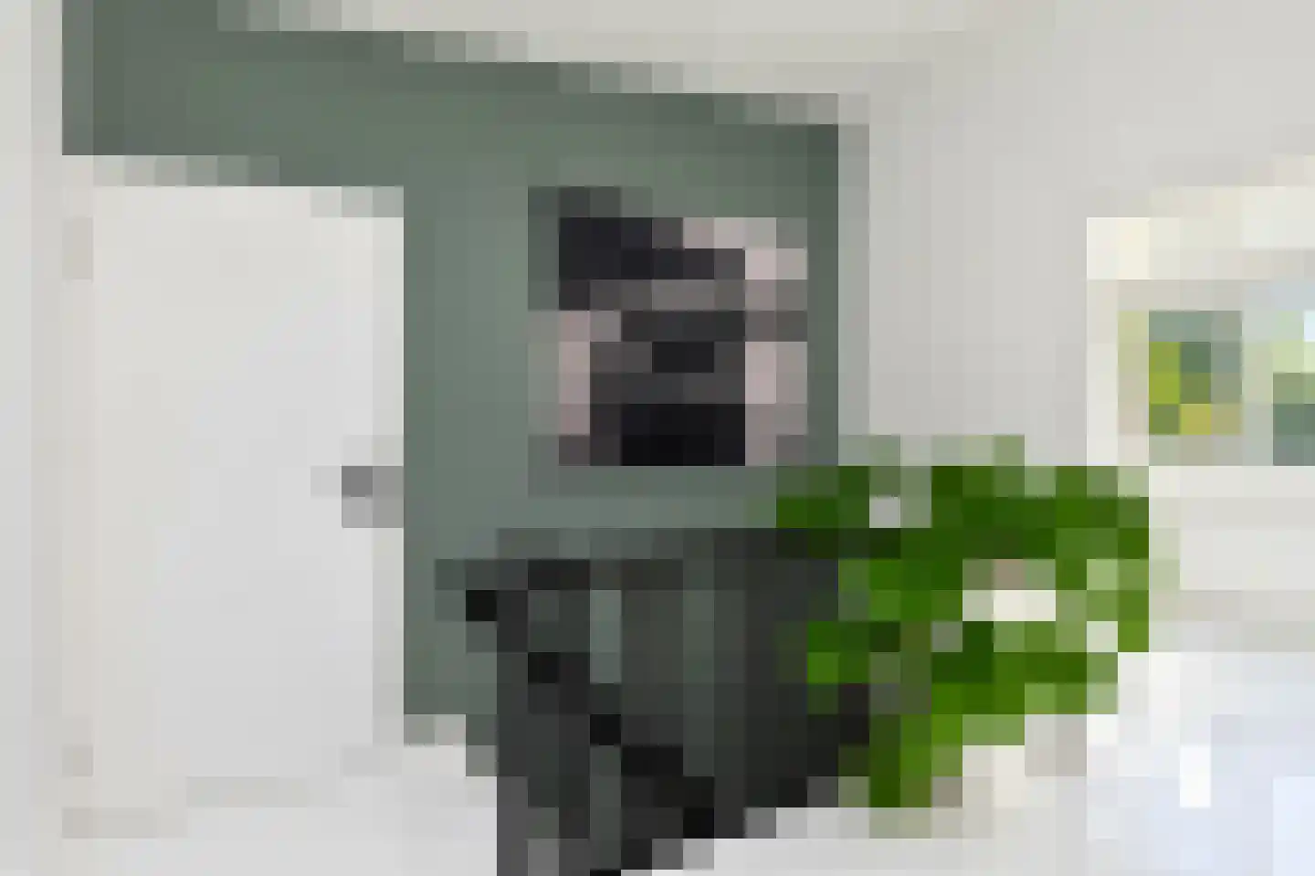 Lijsterbesstraat 27 Heteren thumbnail 23