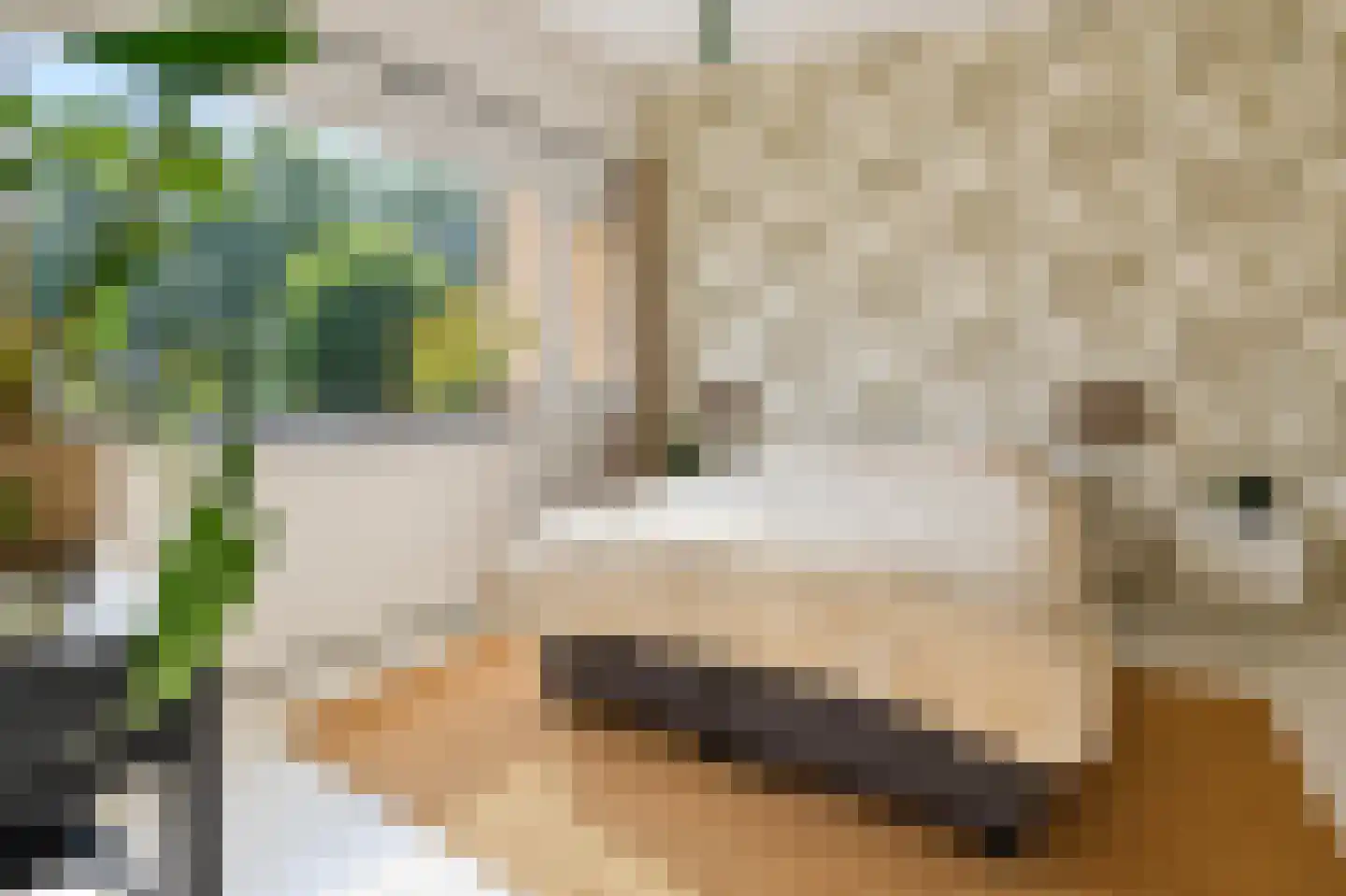 Lijsterbesstraat 27 Heteren thumbnail 25
