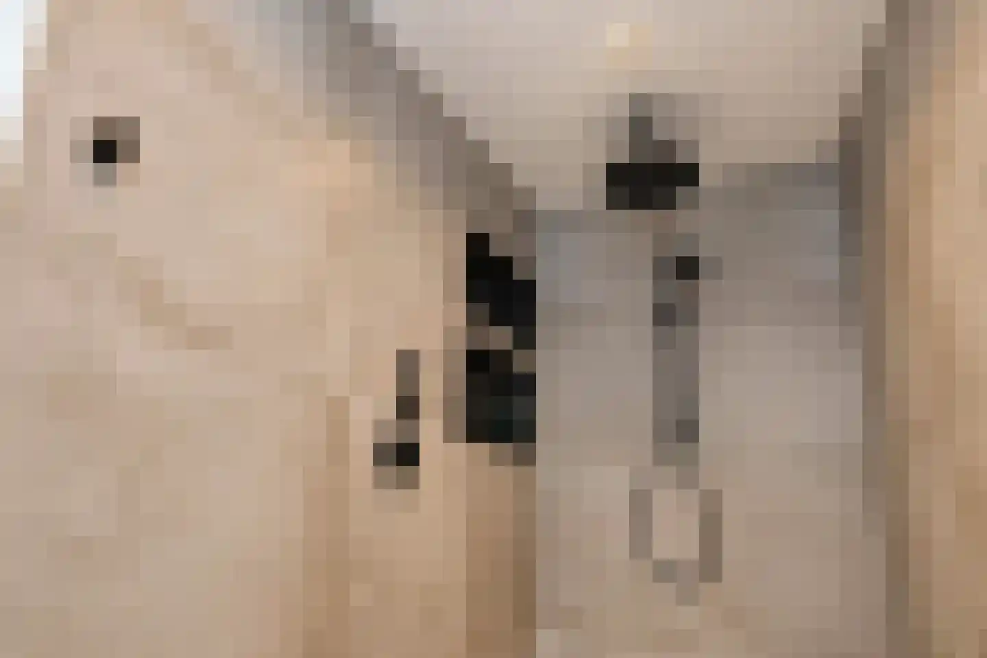 Lijsterbesstraat 27 Heteren thumbnail 35