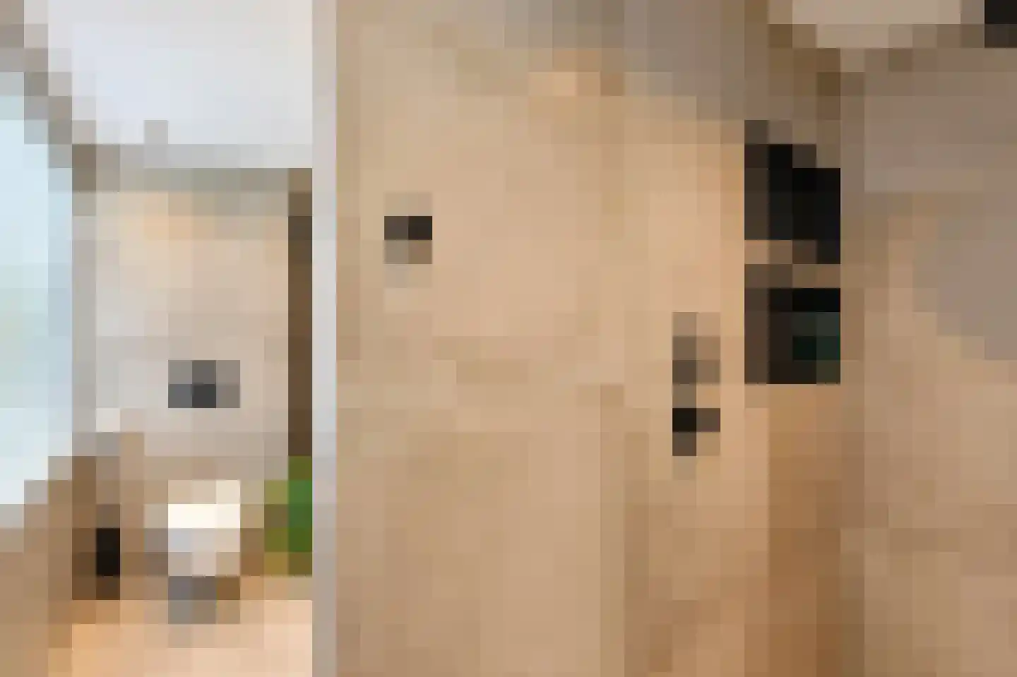 Lijsterbesstraat 27 Heteren thumbnail 36