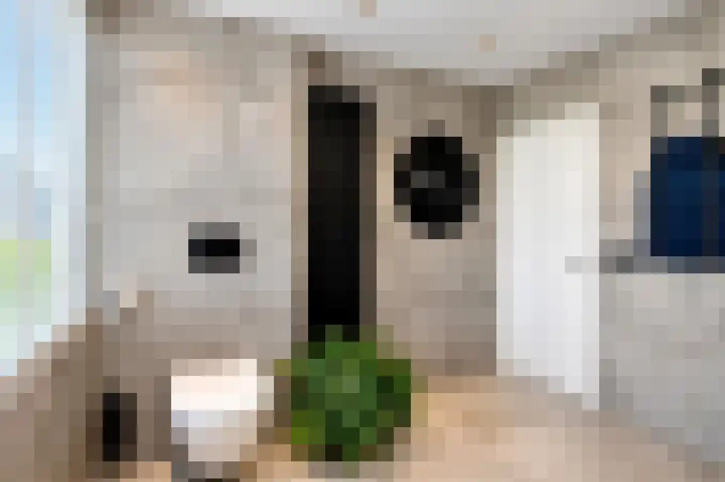 Lijsterbesstraat 27 Heteren thumbnail 37
