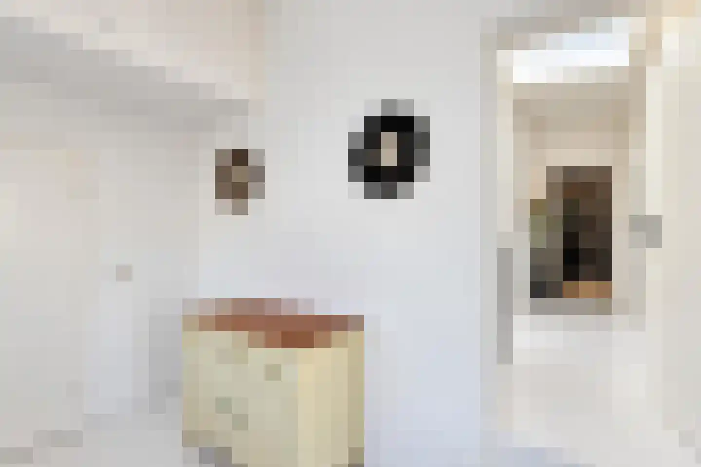 Lijsterbesstraat 27 Heteren thumbnail 41